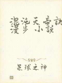 混沌天帝诀随风漫步 小说