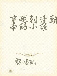 穿越到清朝当皇帝的小说