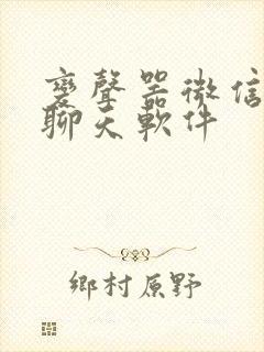 变声器微信语音聊天软件