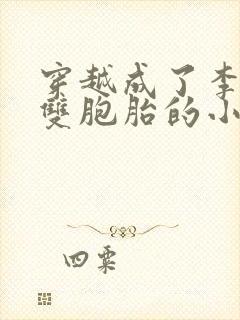 穿越成了李云龙双胞胎的小说