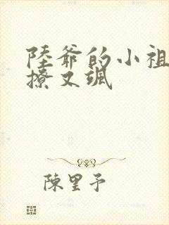 陆爷的小祖宗又撩又飒