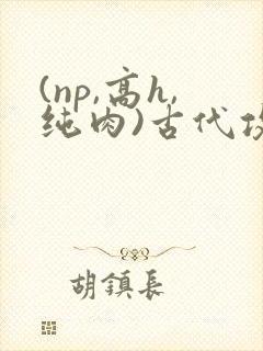 (np,高h,纯肉)古代攻受