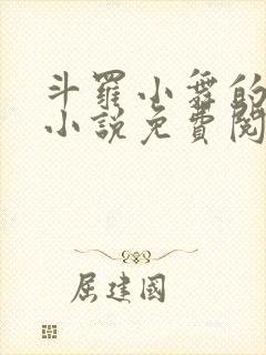 斗罗小舞的堕落小说免费阅读