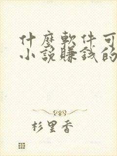 什么软件可以写小说赚钱的软件