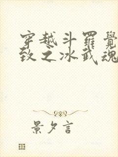 穿越斗罗觉醒极致之冰武魂的小说