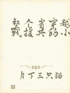 整个省穿越到抗战援共的小说