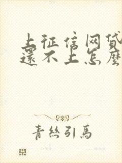 上征信网贷逾期还不上怎么办