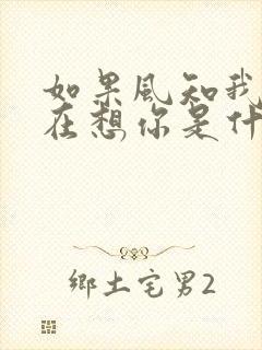 如果风知我依然在想你是什么歌