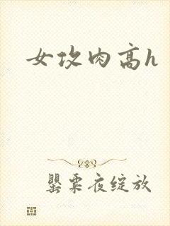 女攻肉高h