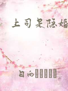 上司是隐婚老公