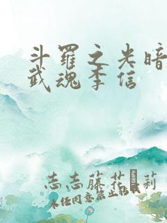 斗罗之光暗双生武魂李信