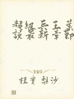 超级兵王叶谦小说最新章节下载