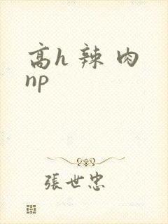 高h 辣 肉 np