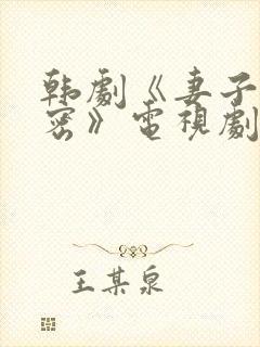 韩剧《妻子的秘密》电视剧全集