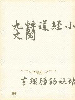 九转道经小说全文阅