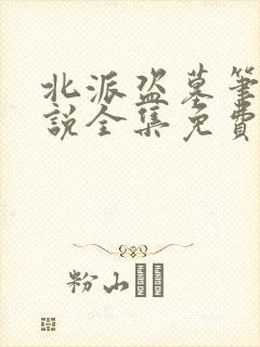 北派盗墓笔记小说全集免费下载