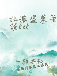 北派盗墓笔记小说txt
