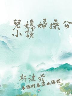 儿媳妇操公公的小说