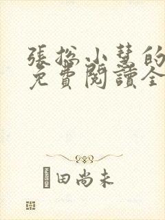 张总小慧的小说免费阅读全文