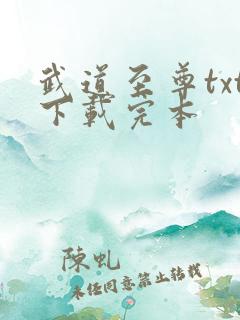 武道至尊txt下载完本