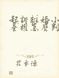 起诉离婚小孩抚养权怎么判