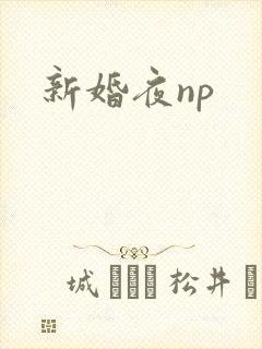 新婚夜np
