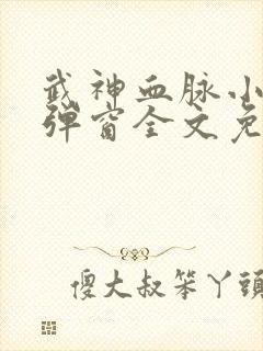 武神血脉小说无弹窗全文免费阅读