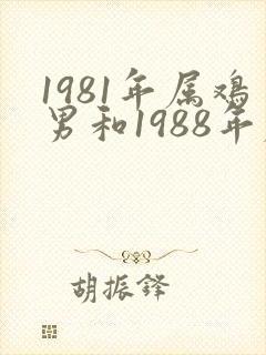 1981年属鸡男和1988年属龙女婚配