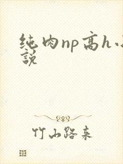 纯肉np高h小说