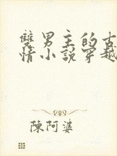 双男主的古代言情小说穿越