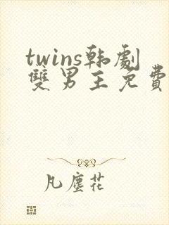 twins韩剧双男主免费观看