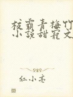 校霸青梅竹马的小说甜宠文