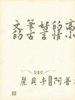 文笔好的高质量的古言情小说推荐