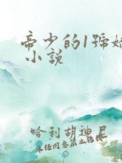 帝少的1号娇妻 小说