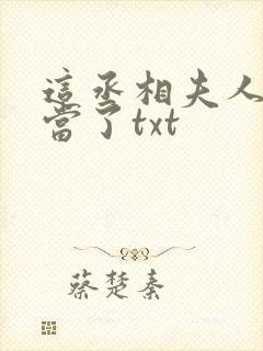 这丞相夫人我不当了txt