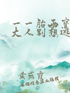 一一胎两宝老婆大人别想逃大结局