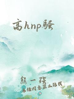 高hnp骚