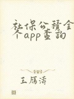 社保公积金在哪个app查询