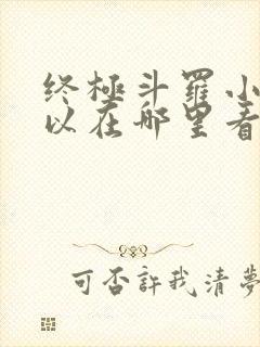 终极斗罗小说可以在哪里看