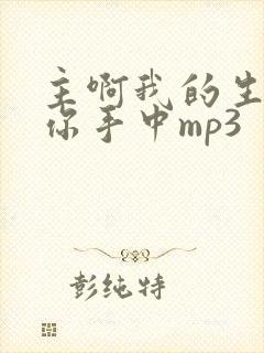 主啊我的生命在你手中mp3