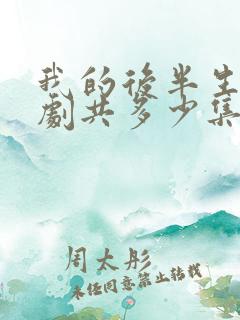 我的后半生电视剧共多少集