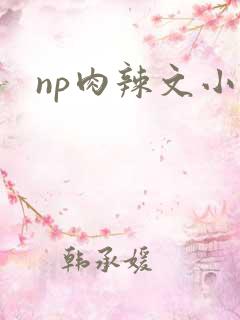 np肉辣文小说