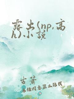 露出(np,高h)小说