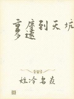 重庆到天坑地缝多远