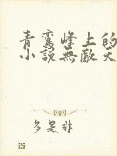 青鸾峰上的全部小说无敌天命