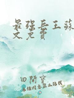 最强兵王苏锐全文免费