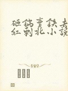 砸锅卖铁去上学红刺北小说免费版