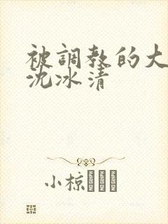 被调教的大小姐沈冰清