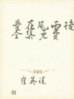 爱在风雨后短剧全集免费