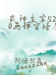 武神主宰5200无弹窗暗魔师